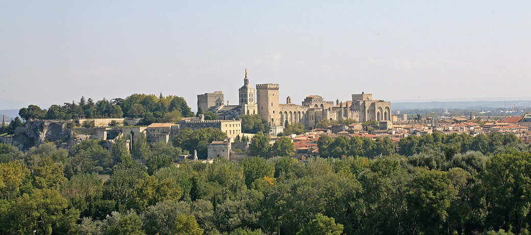 Vue panoramique du Palais des Papes en Avignon
